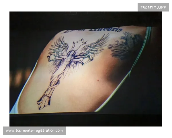 申城决战13场9场终结暴力美学50%票房捐赠青少年运动员保障基金